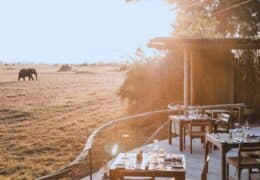 Wilderness Mombo Camp