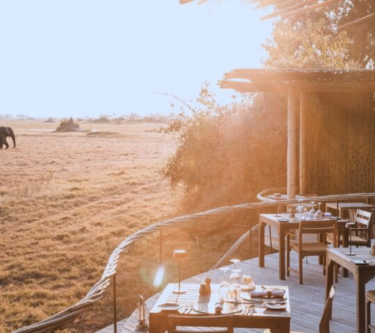 Outdoor safari dining deck with set tables overlooking an elephant walking across a savanna at sunset.