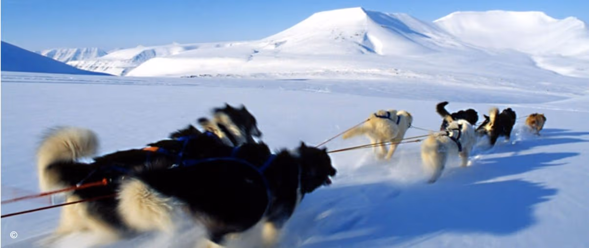 Iceland and Arctic Norway Adventure