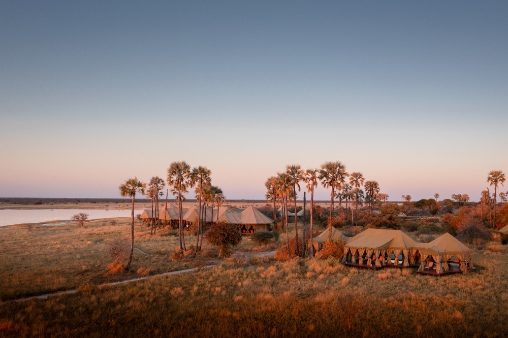 Safari camp with tents amidst palm trees near a water body at dusk.