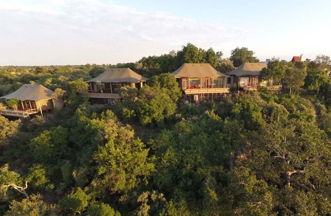 Four canvas safari tents with wooden decks situated among thick green trees under a pale morning sky.