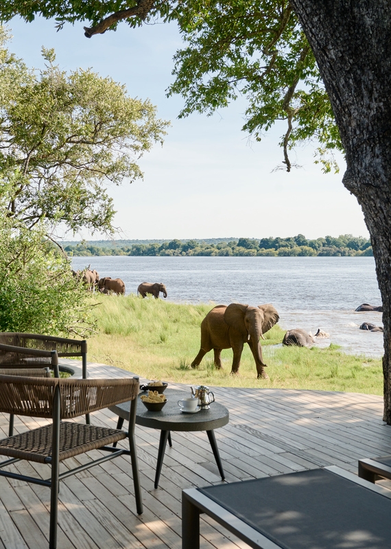 Elephants walking by a river near a wooden lodge deck with chairs and a table at Victoria Falls River Lodge.