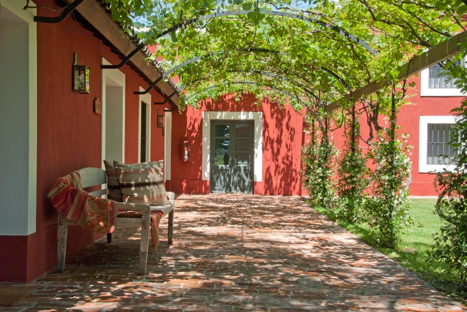 Vine-covered walkway at a red building with a bench under the shade.