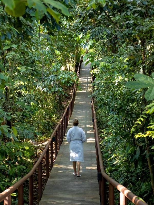 A person walking on a wooden walkway in between lush greenery.