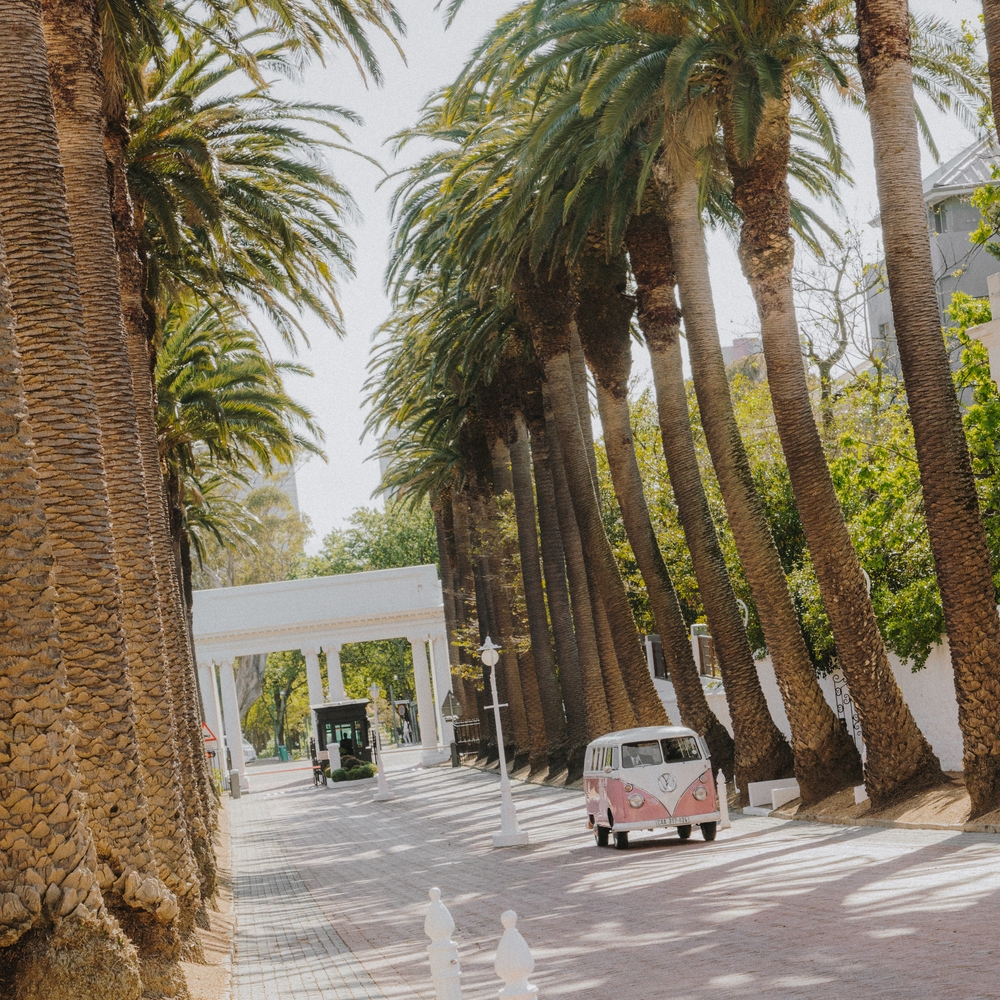 A pink vintage van on a driveway lined with tall palm trees leading to a white pillared entrance gate.