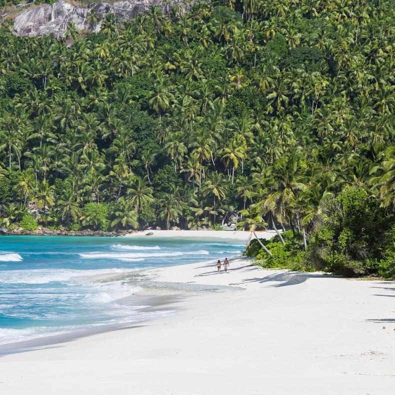A couple walking on a wide white beach next to a lush green jungle and blue ocean water.
