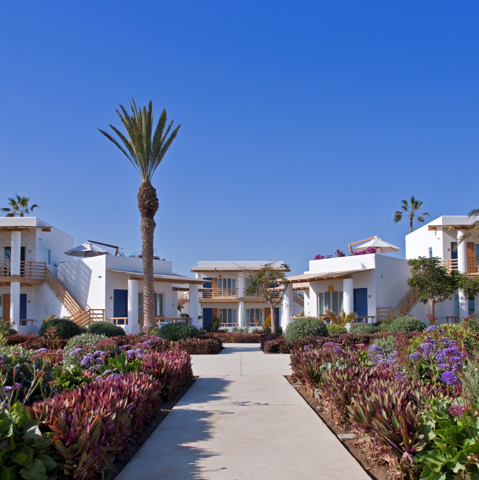 Luxury resort pathway flanked by lush gardens and palm trees under clear blue sky.