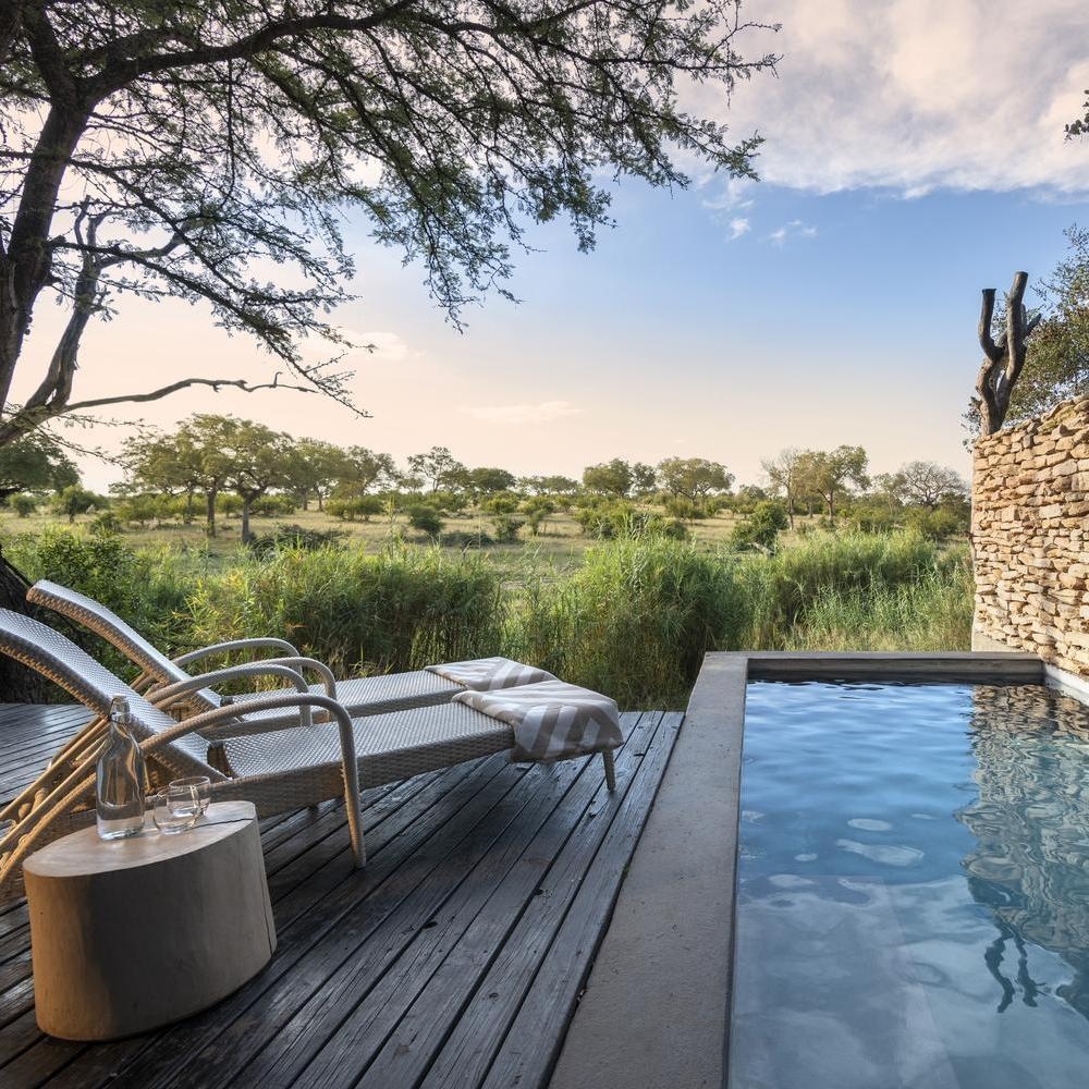 The terrace area of one of Chitwa Chitwa's accommodations featuring sun loungers and a long pool overlooking the bush.