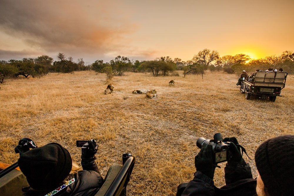 Sunset, Sabi Sabi Safari, South Africa