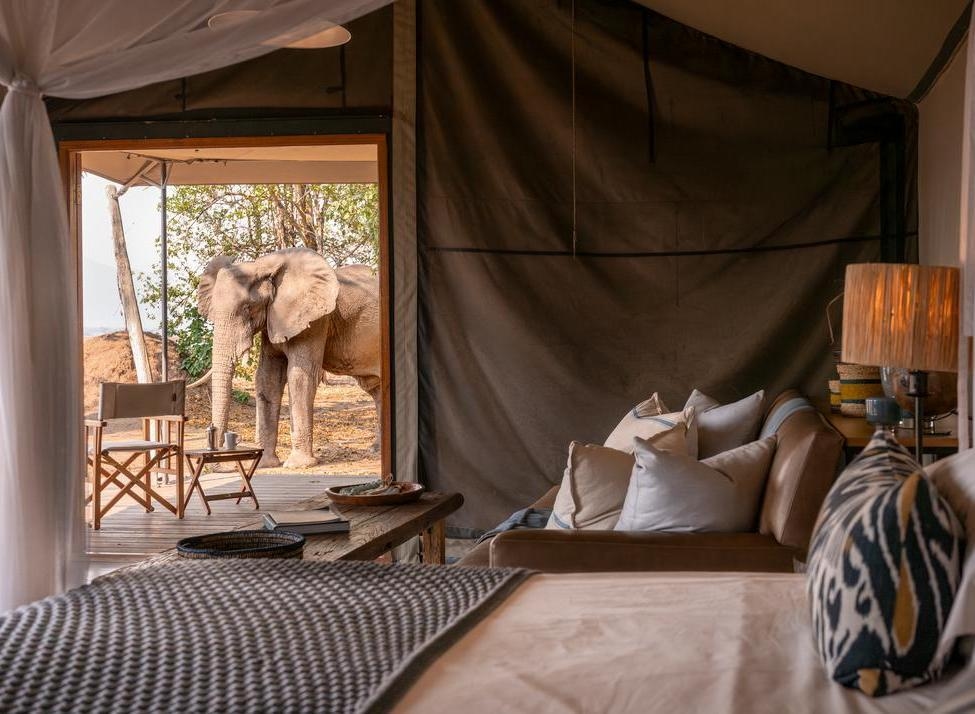A large elephant seen through the open door of a stylish safari tent interior with a bed and lounge area.