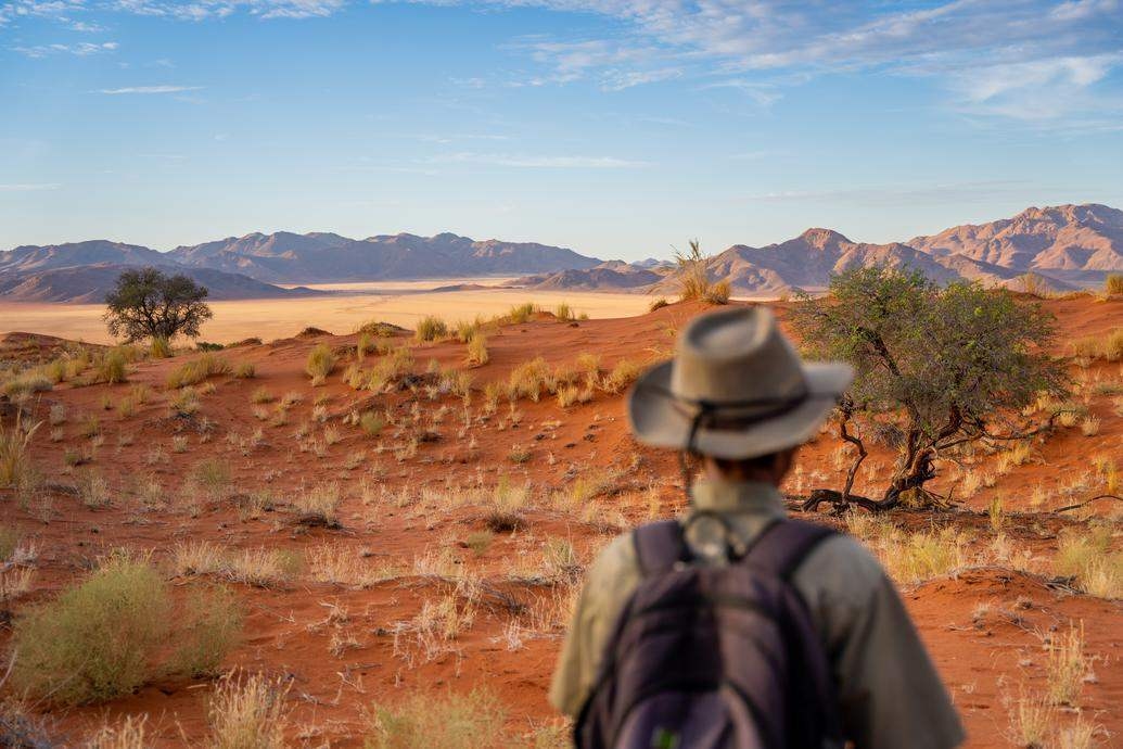 Rear view of a person looking at red sand dunes and distant mountains under a blue sky.