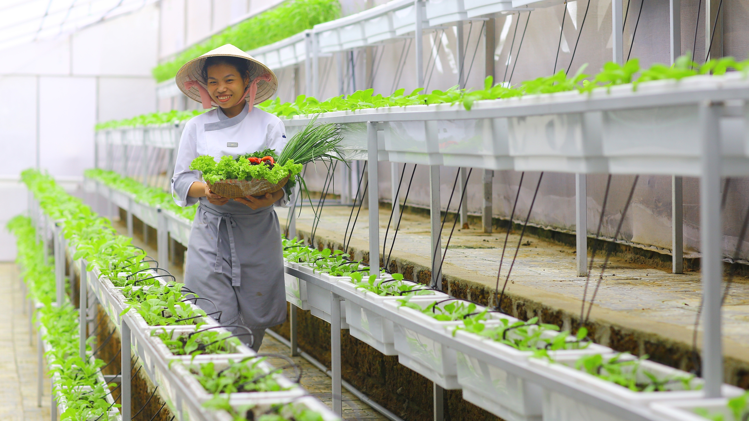 fusion-maia-plant-growing