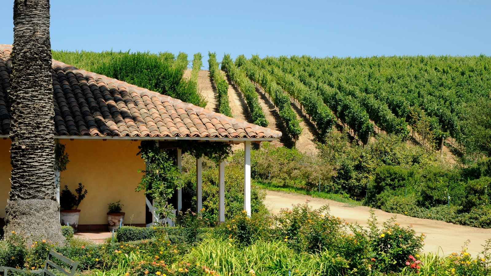 matetic exterior wine region