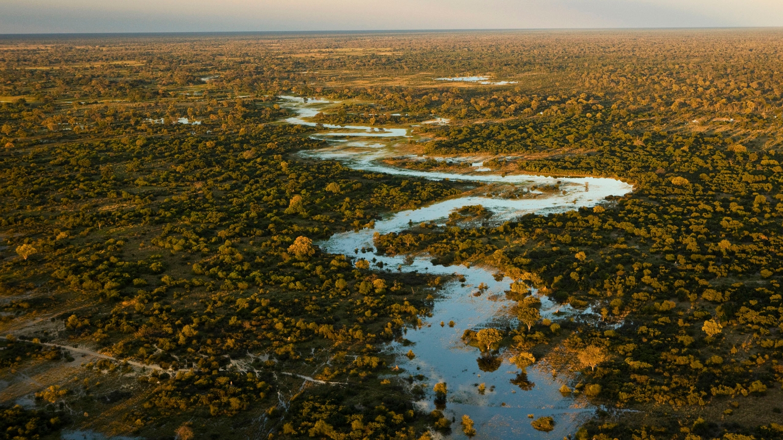 Aerial view of Selinda Adventure Trail, a winding river flowing through tree covered landscape in Botswana, Africa.