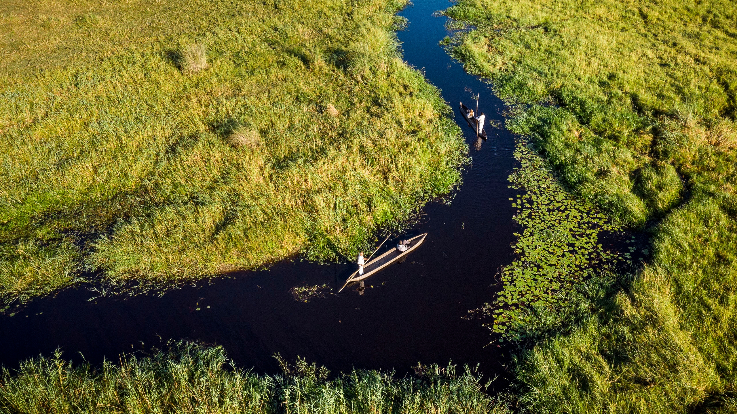the waterways of the Okavango delta
