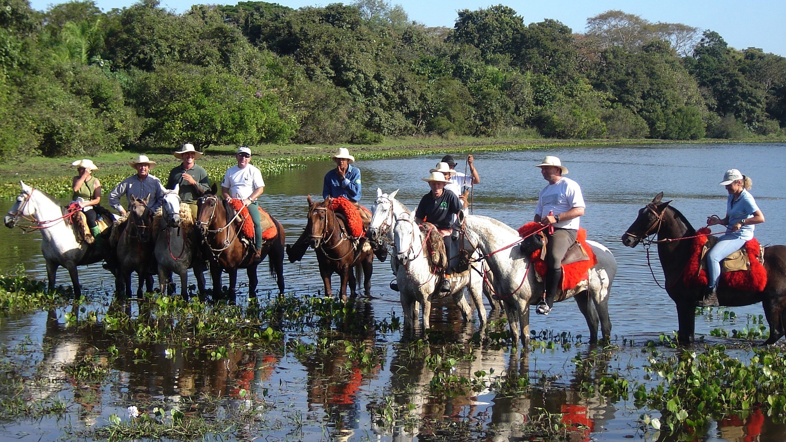 Horse Riding Barra Mansa The Pantanal Brazil