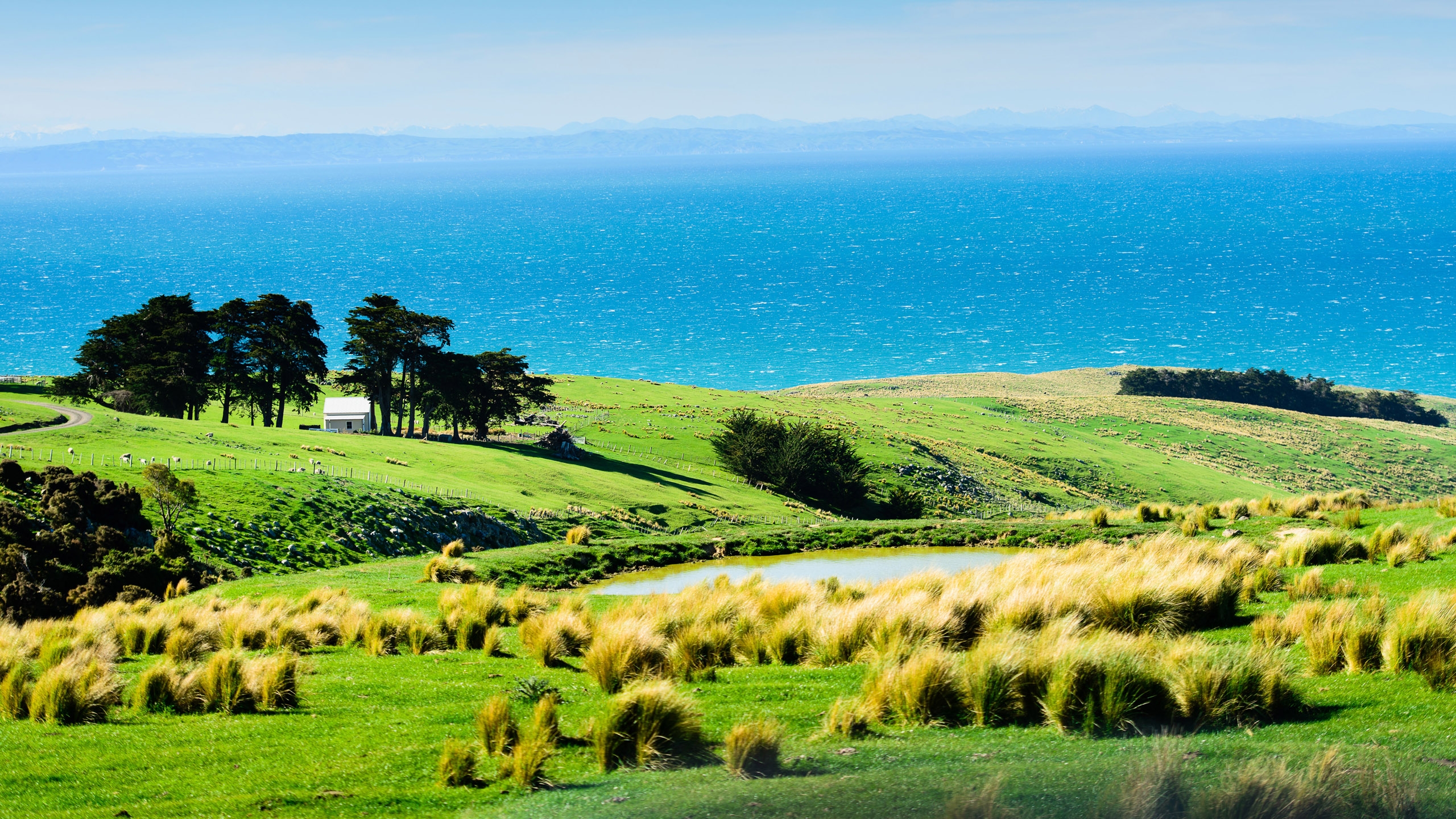 annandale-shepherds-hut-location