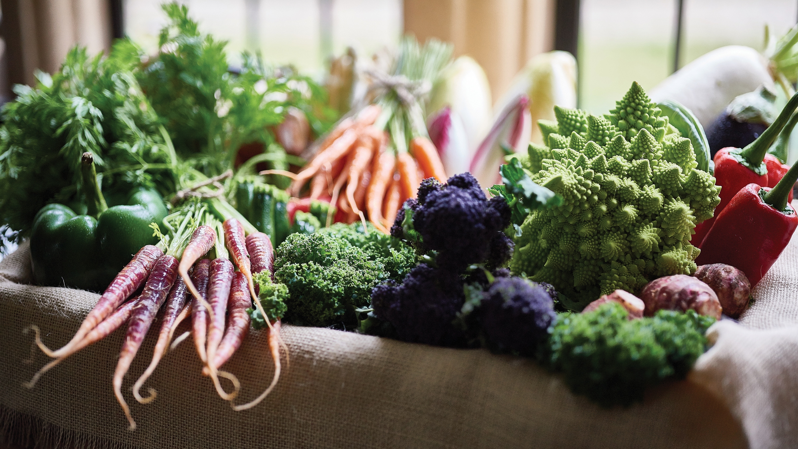 manoir-aux-quatre-saisons-veggies