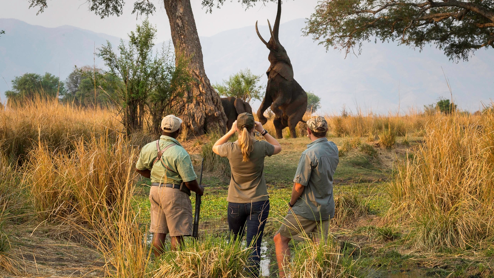 walking-safari-ruckomechi-zimbabwe