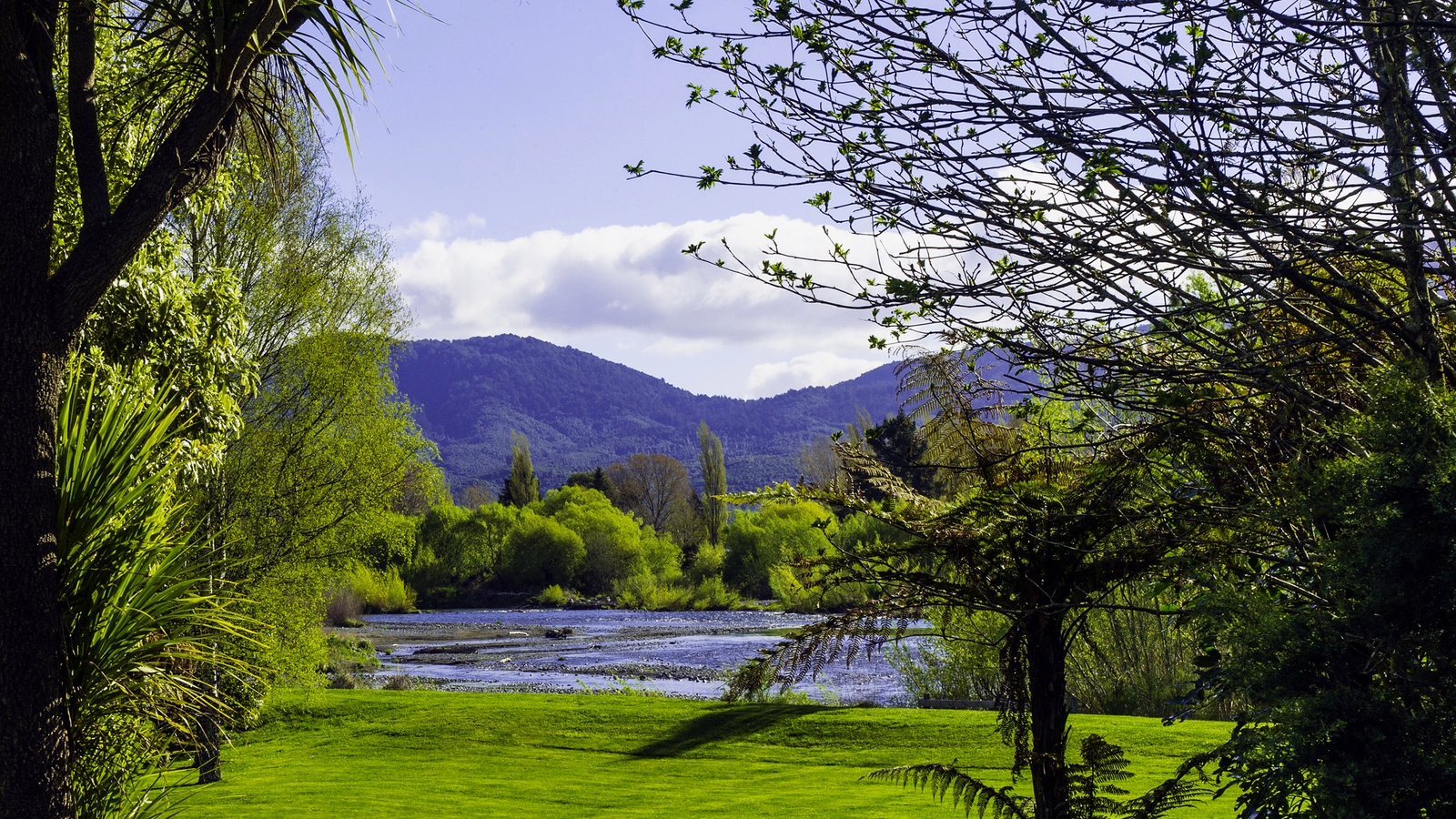 tongariro-lodge-view