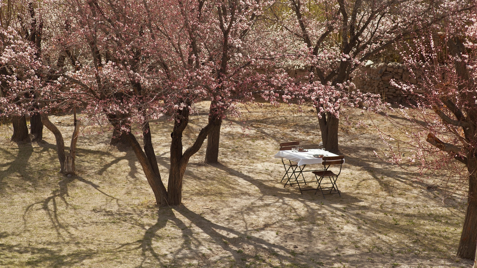 shakti-stok-house-ladakh