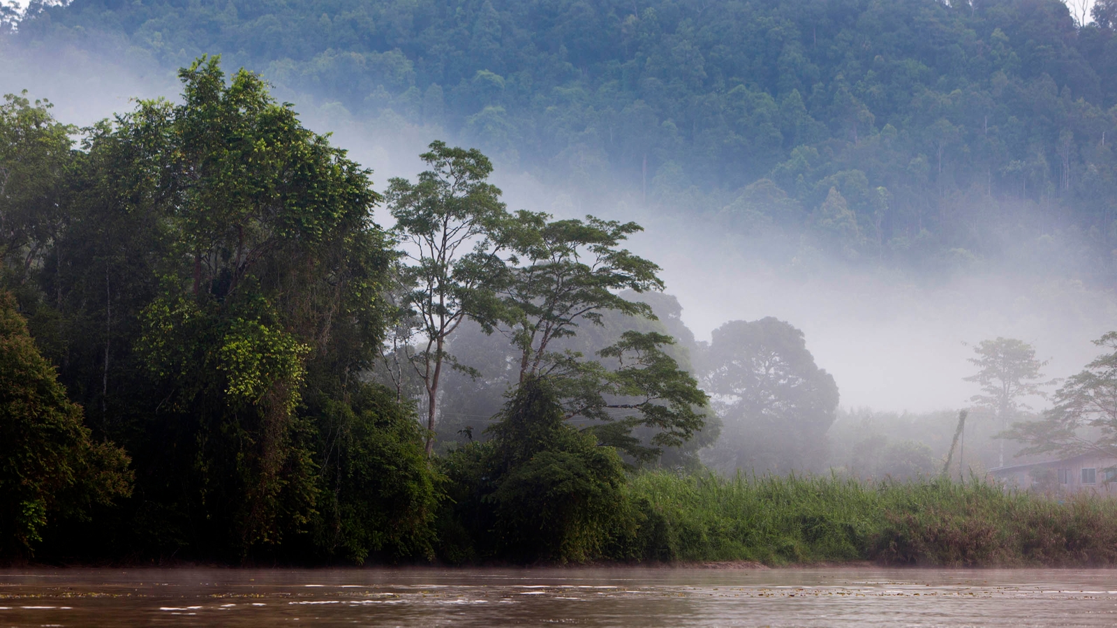 When is the Best Time to Visit Borneo?
