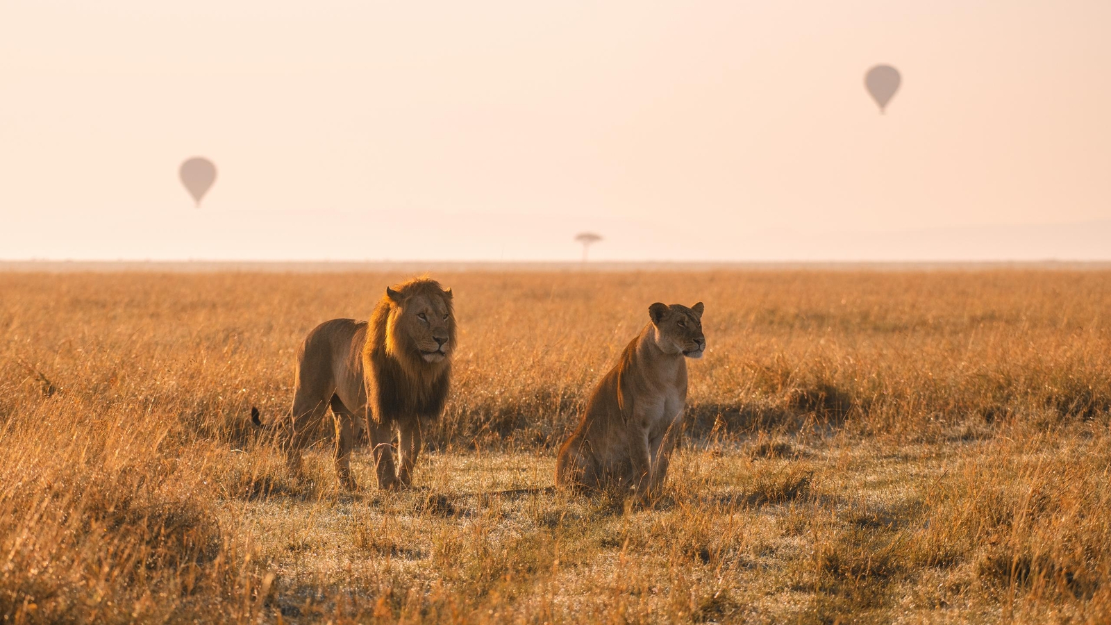 When is the Best Time to Visit Kenya?