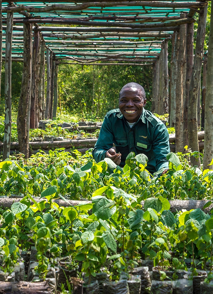 A person working in the garden of Bisate