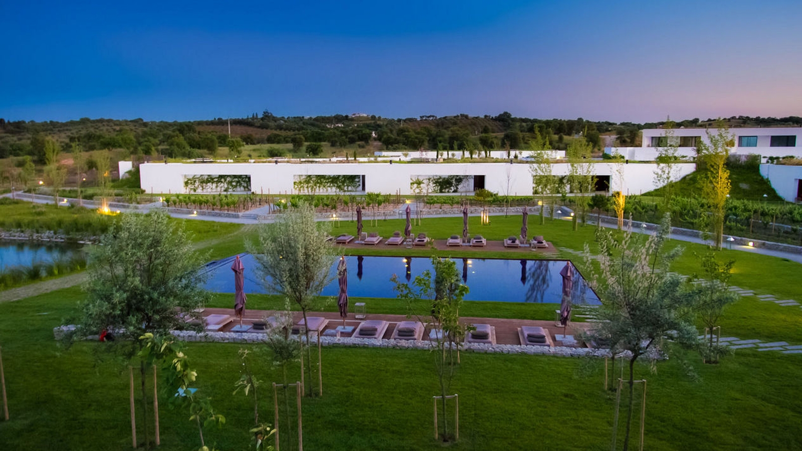 l-and-vineyards-pool