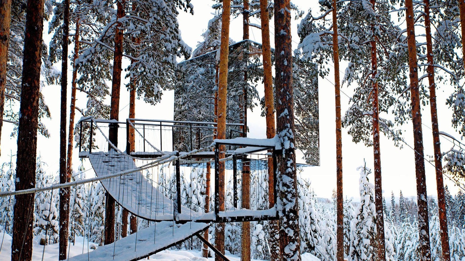 A cube-shaped mirrored cabin built into tall pine trees with a rope bridge walkway in a snowy winter woods.