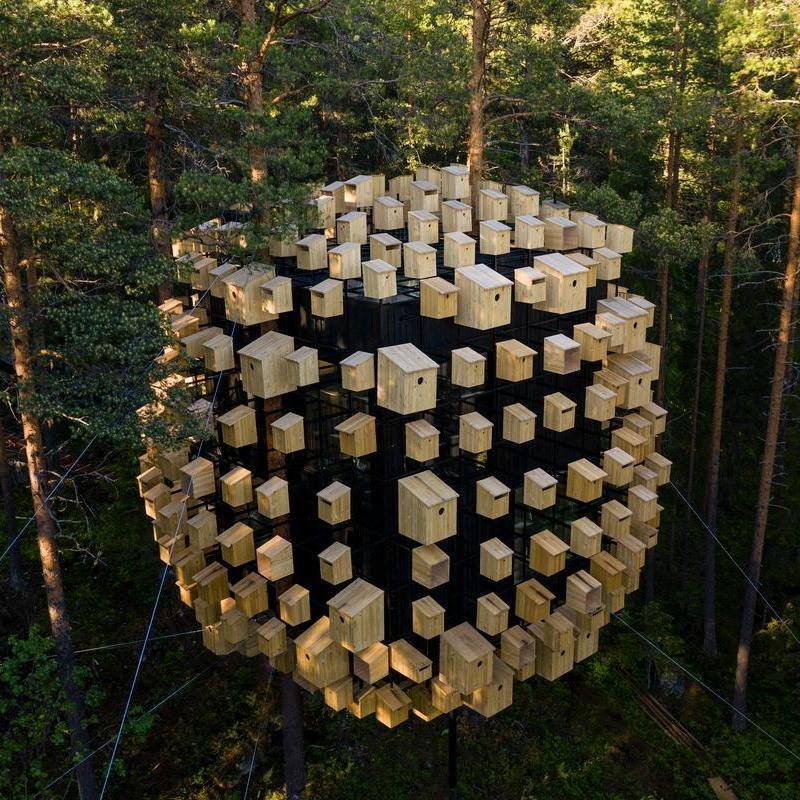 A spherical structure suspended in trees and covered in many small light-wood birdhouses.