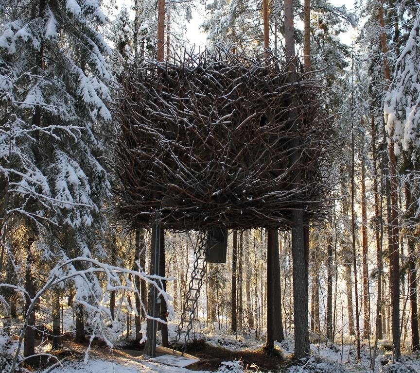 A large, circular structure made of tangled branches suspended in a snowy pine forest.