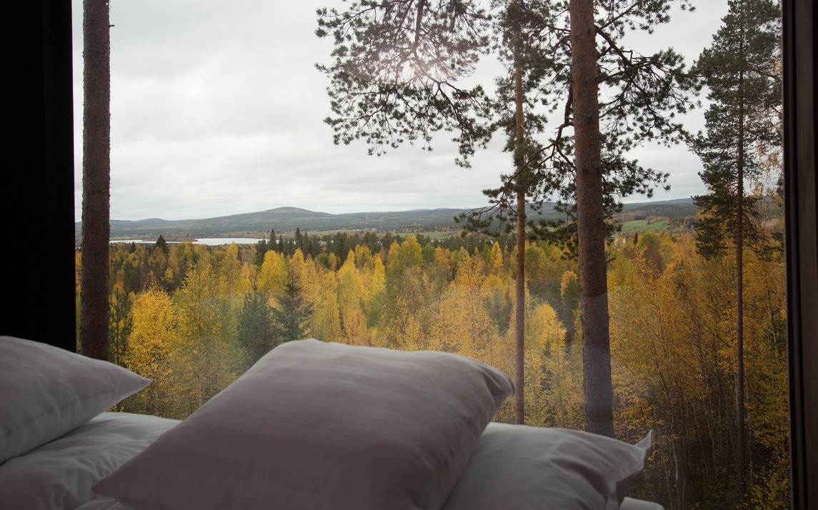 Looking from a white-pillowed bed through a window at a forest of yellow and green trees.