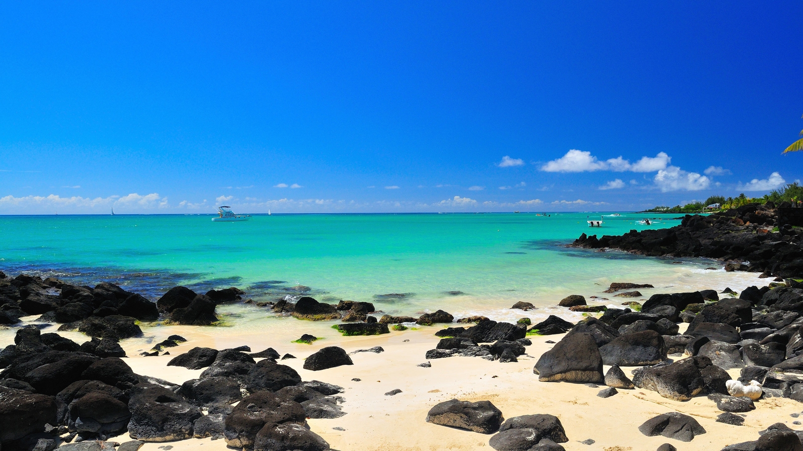 When is the Best Time to Visit Mauritius?
