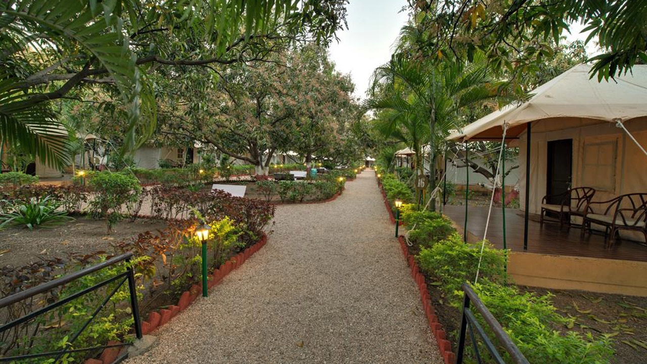 lion-safari-camp-gir-national-park-india