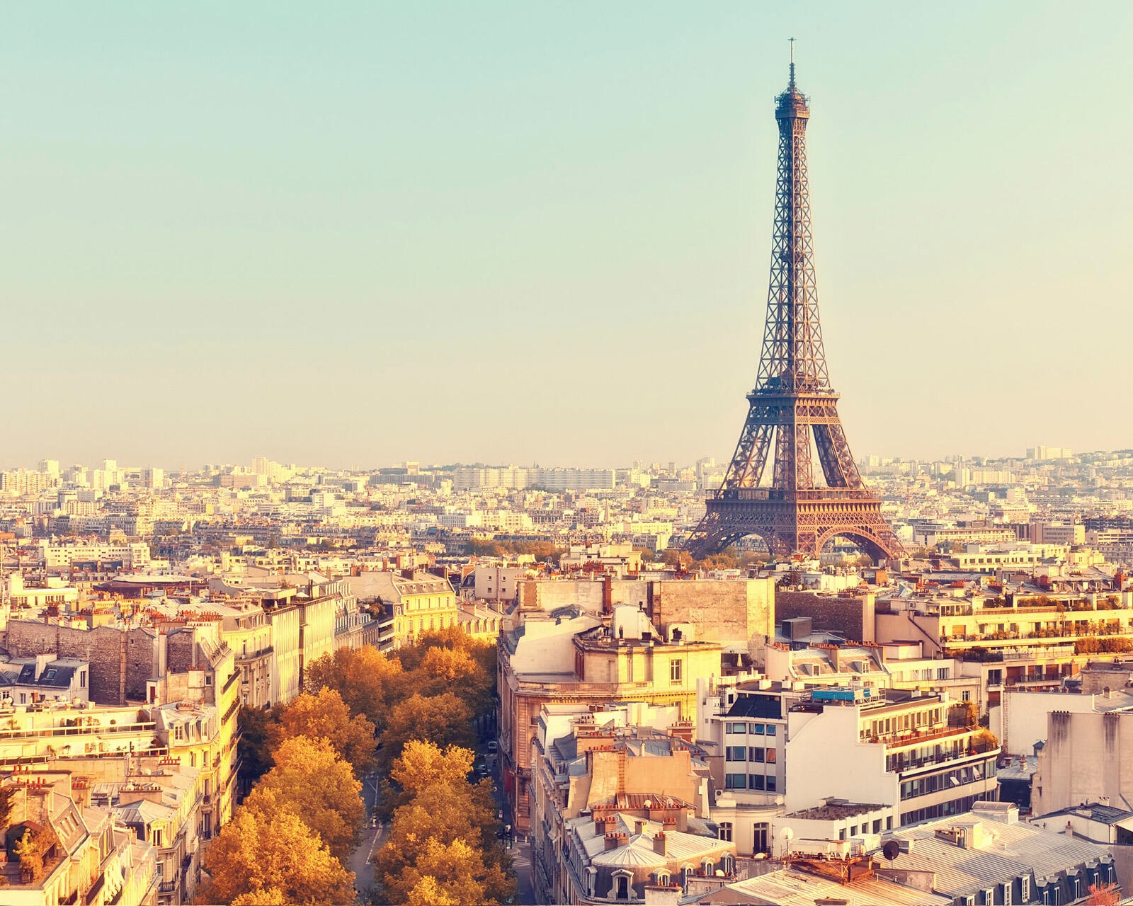 The Eiffel Tower stands tall over the Paris city skyline and autumn-colored trees during the day.