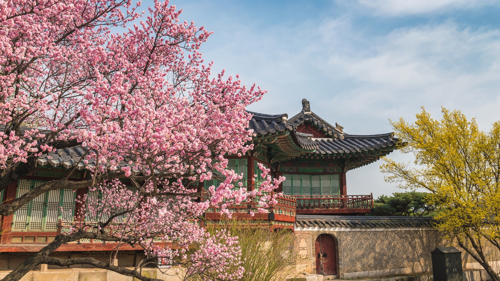 When Is the Best Time to Visit South Korea?