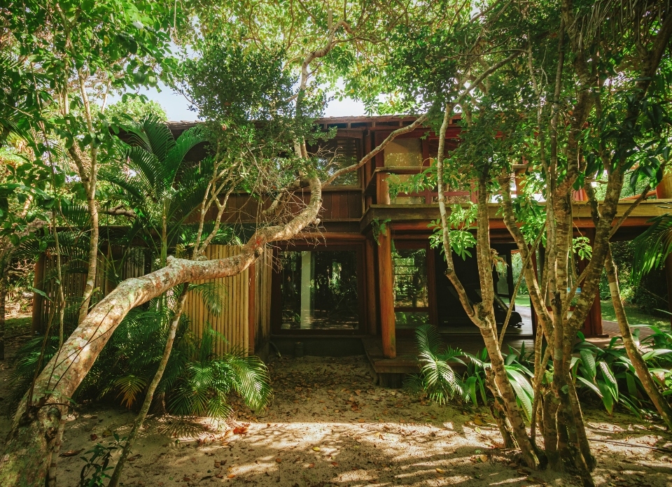 Wooden house nestled among lush greenery in a tropical forest setting.