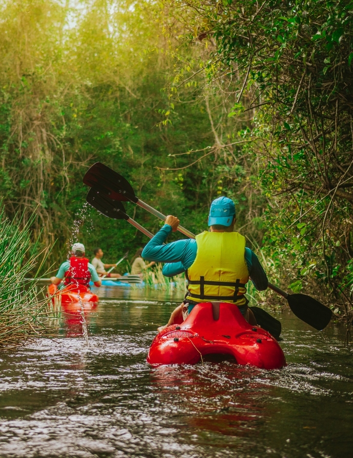 People kayaking in a forest waterway, with lush greenery surrounding them.
