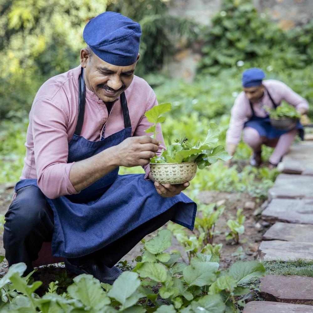 Two chefs plucking fresh herbs from the organic herb garden at Six Senses Fort Barwara.