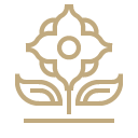 See the tulips in the Netherlands main icon