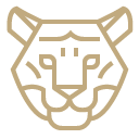 Jacada Travel vector art of a tiger face drawn in bold gold lines