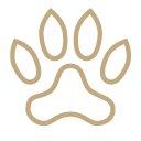 Jacada Travel Gold pawprint icon