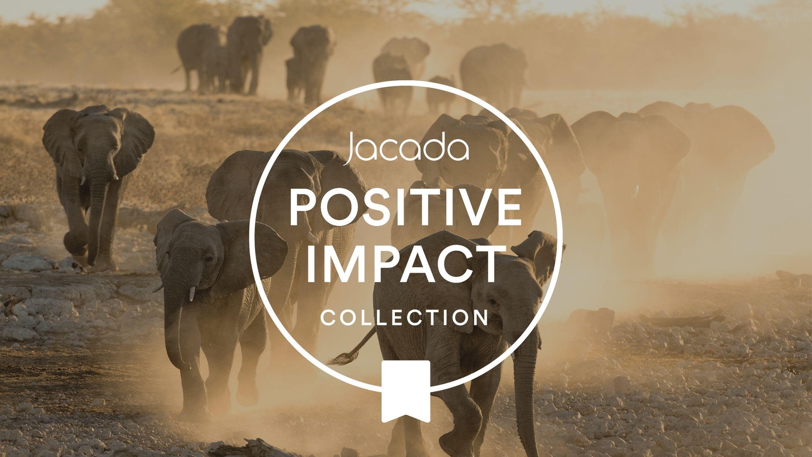 A herd of elephants walking through dust with a white circular logo for positive impact.