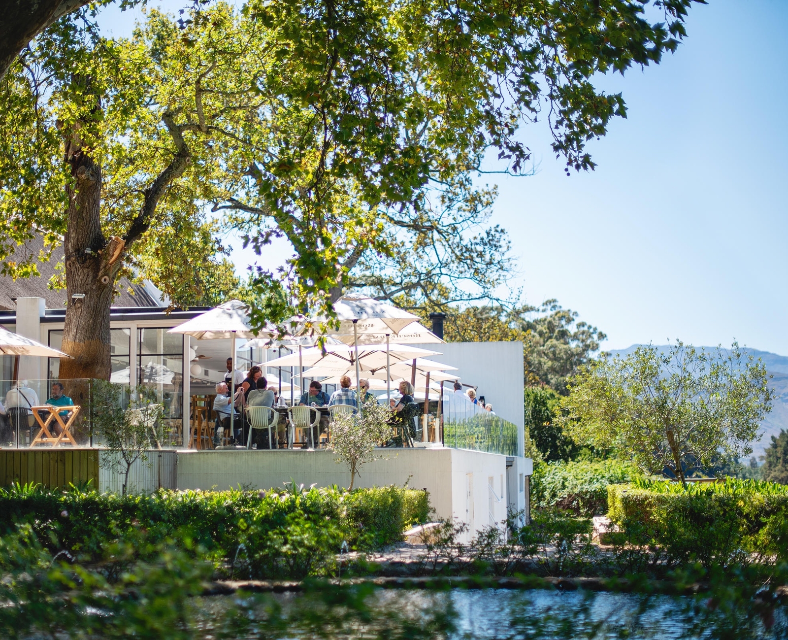 Outdoor restaurant patio with umbrellas by a pond and trees.