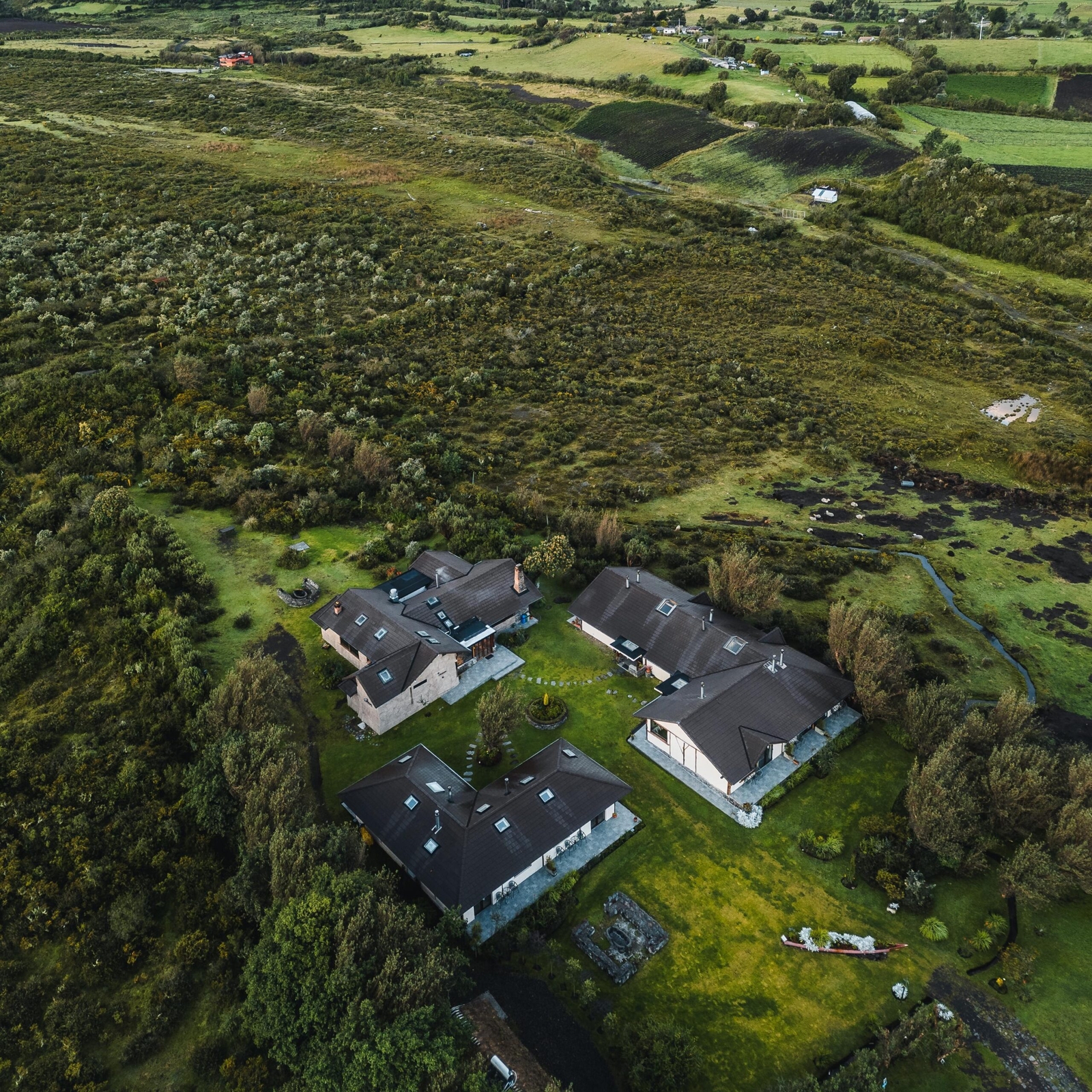Aerial view of rural houses surrounded by greenery with overcast lighting.