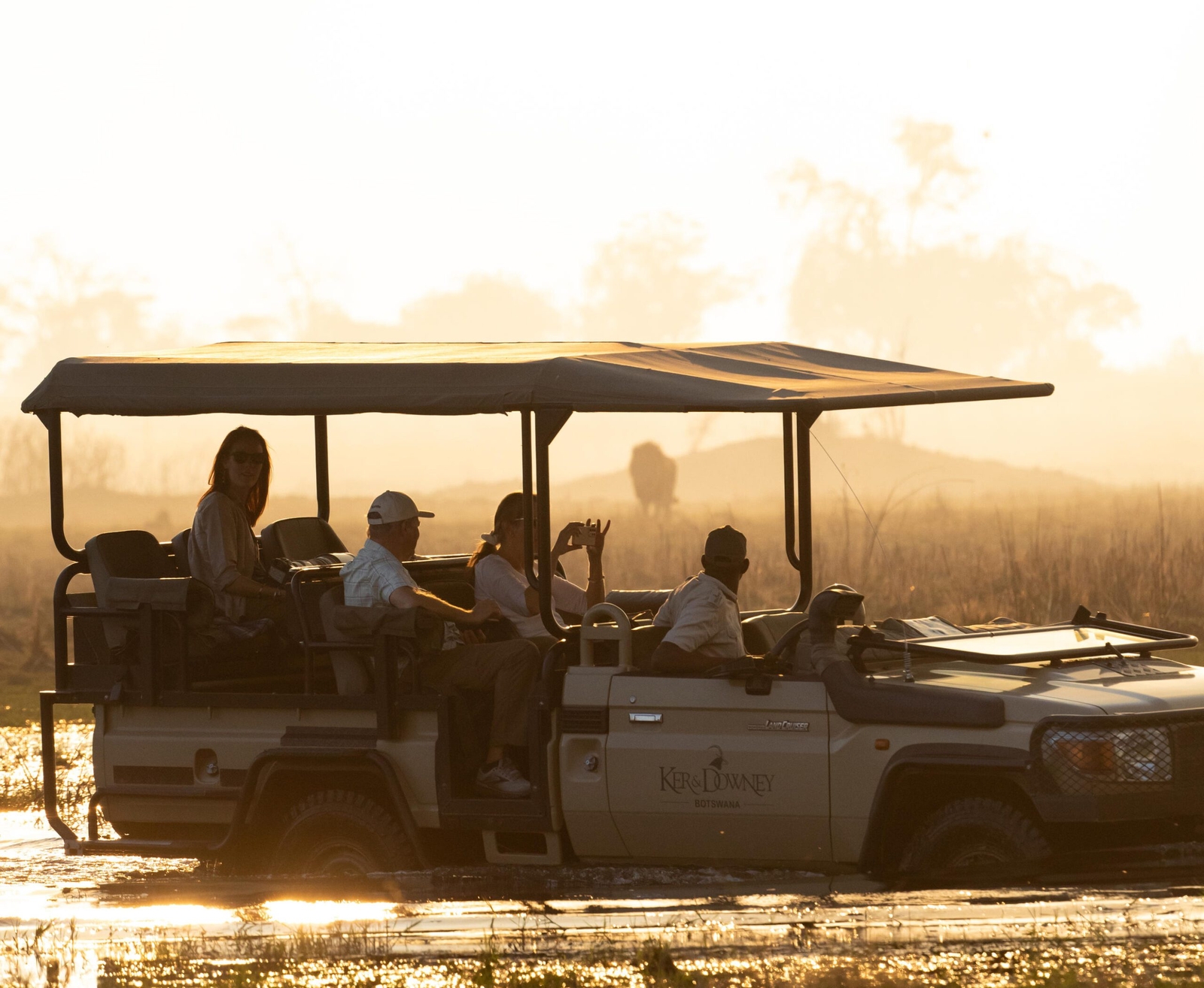 People on a game drive sat in a vehicle, looking onto a lion in the distance.