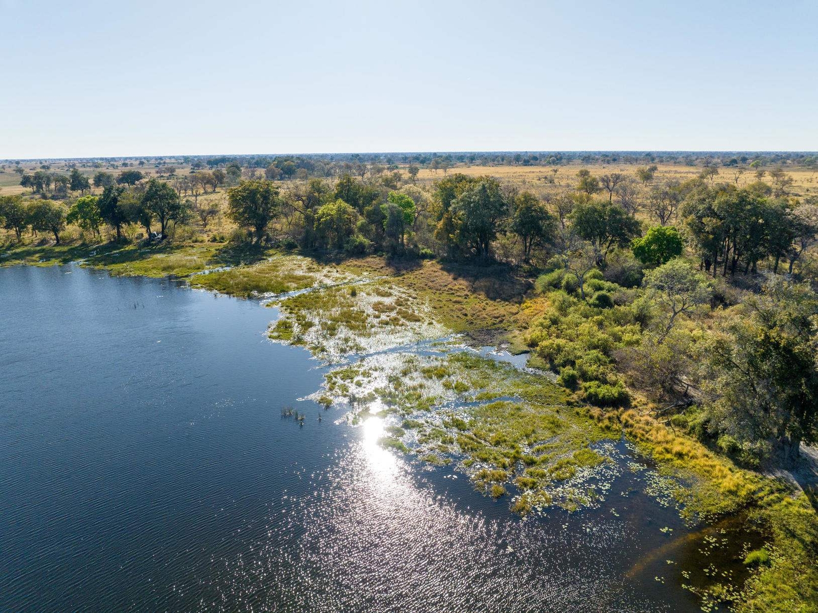 An aerial view of Maxa Camp, which sits on the edge of a lagoon between mature trees.