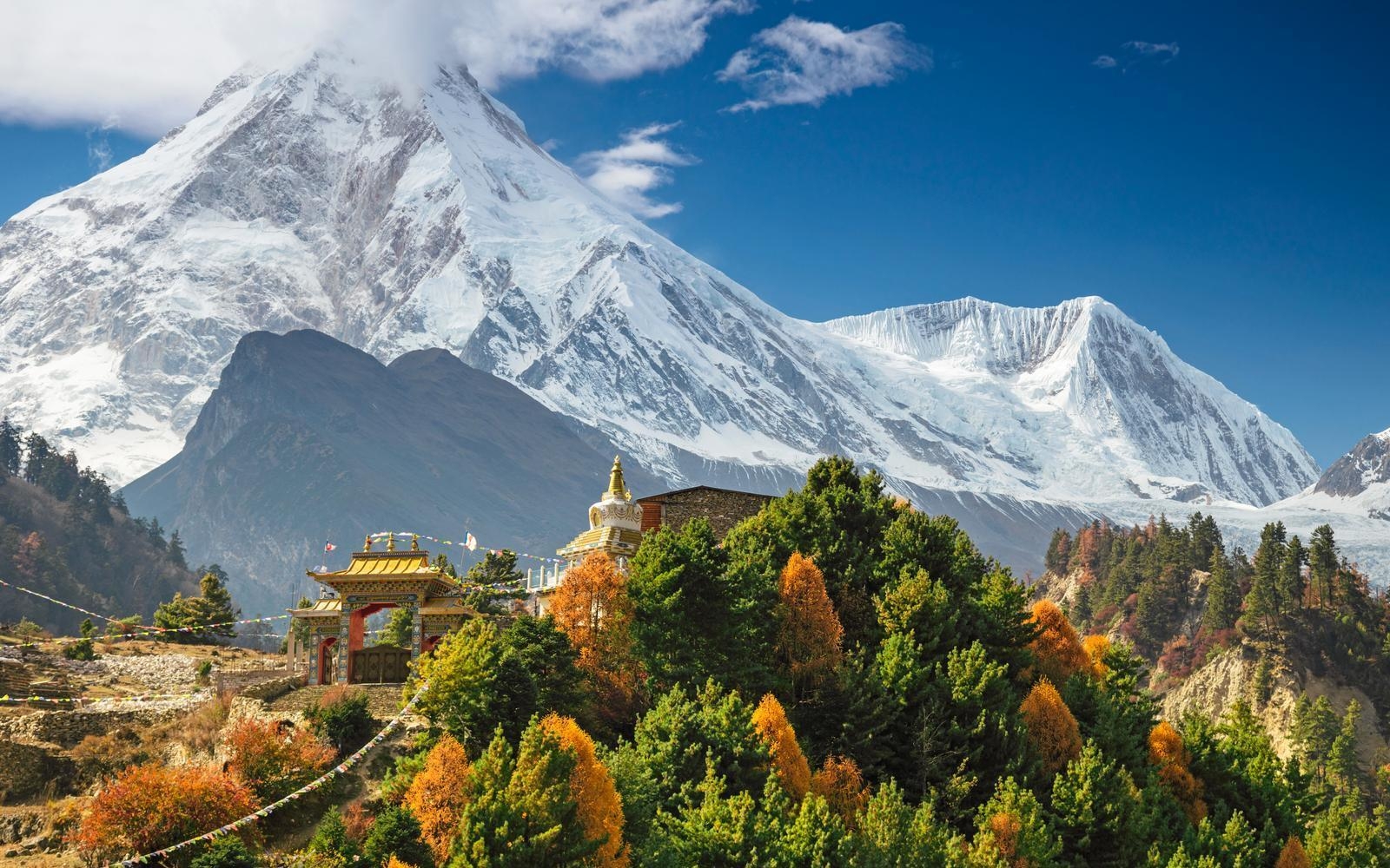 The Best Time to Visit Asia