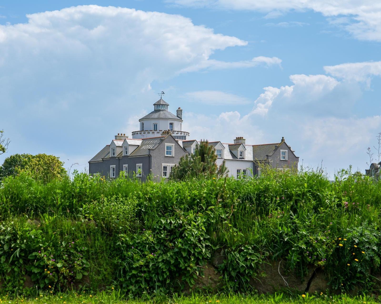 A view of Twr y Felin hotel from behind a hedge